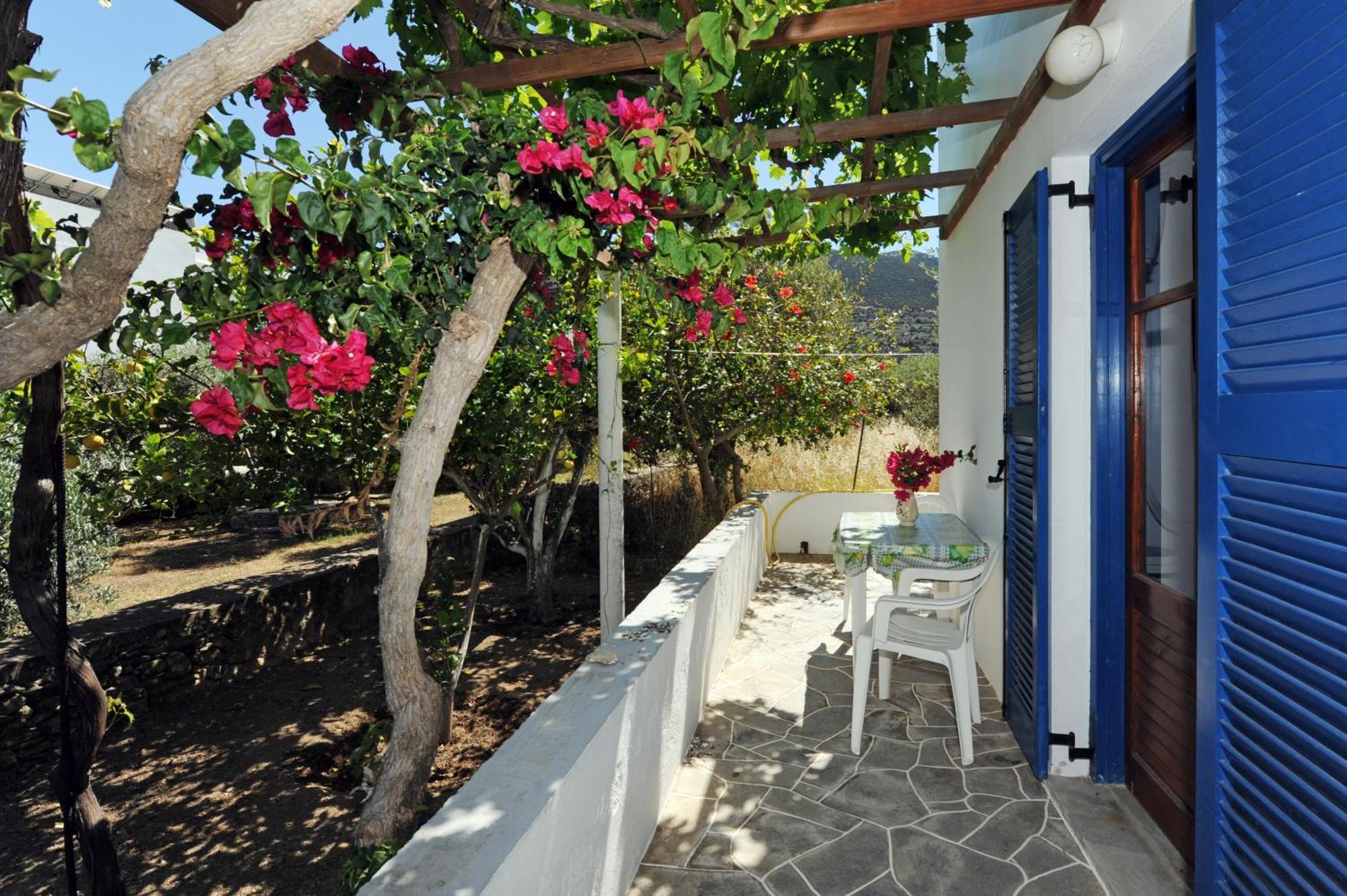 Platis Gialos Aegean Harmonyアパートメント エクステリア 写真